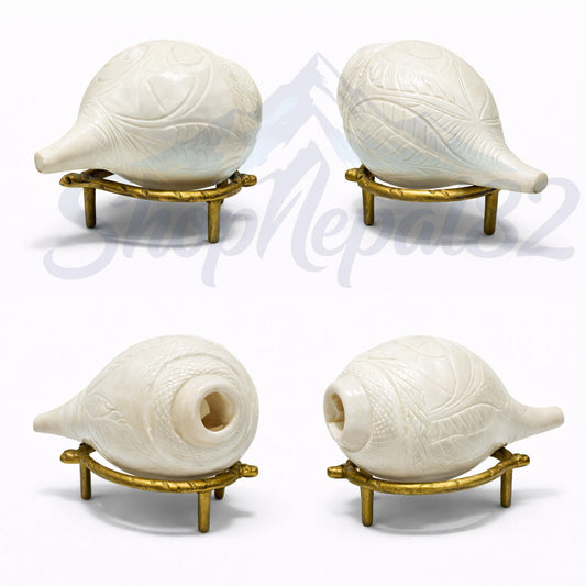 Sacred Shankh (Conch Shell) – Natural Puja & Spiritual Ritual Item – पवित्र शङ्ख